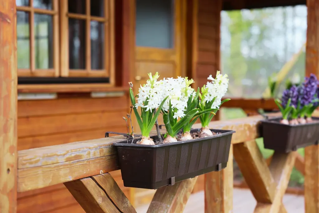 Freizeitpark Camping-Schüttehof | Blumen